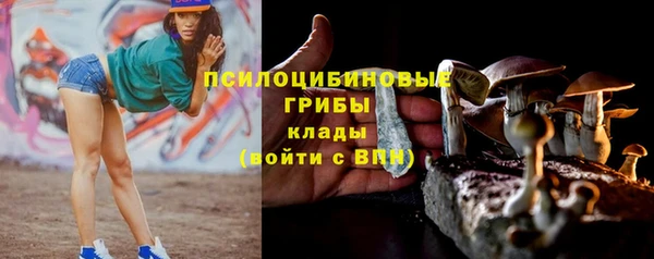 винт Шали
