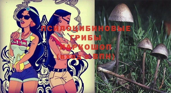 mdma Шадринск