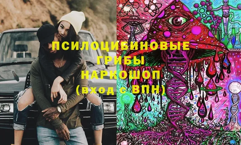 Псилоцибиновые грибы Cubensis Армянск