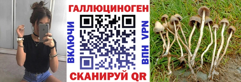 Галлюциногенные грибы GOLDEN TEACHER  Армянск 